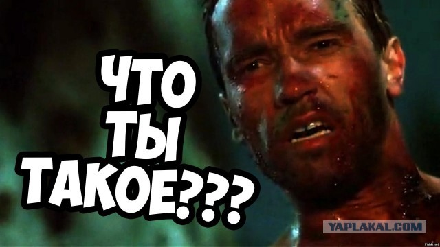 Странные существа были замечены в аэропорту