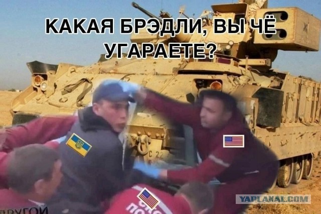 Зеленский присвоил горно-штурмовой бригаде ВСУ наименование "Эдельвейс"