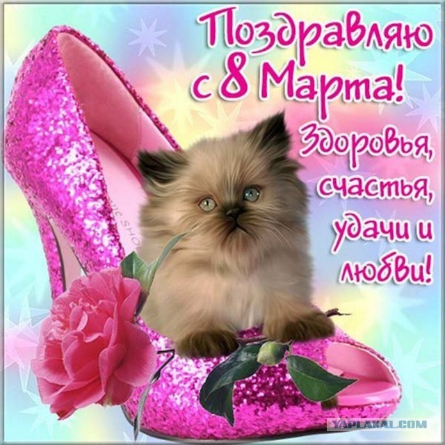 ЯПовки и ЯПовчанки, с праздником!