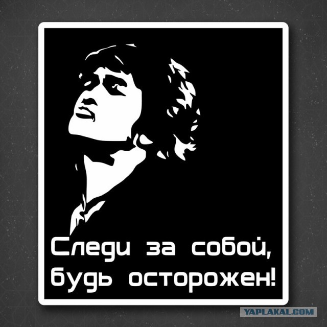 112: правоохранители задержали подозреваемых убийц аниматоров под Краснодаром