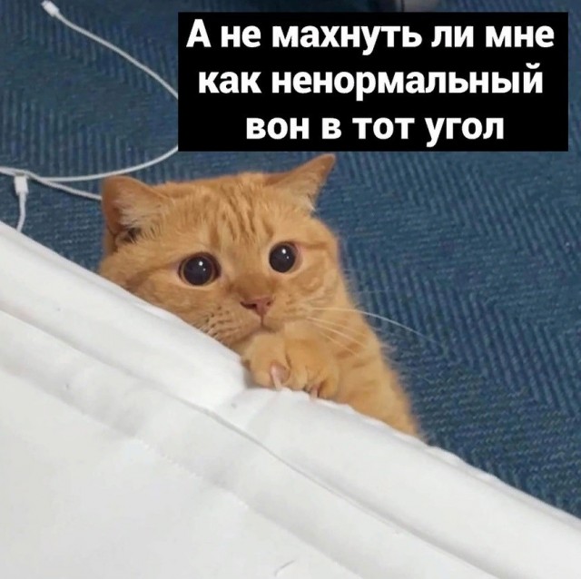 Всего понемногу. И снова пятничный.