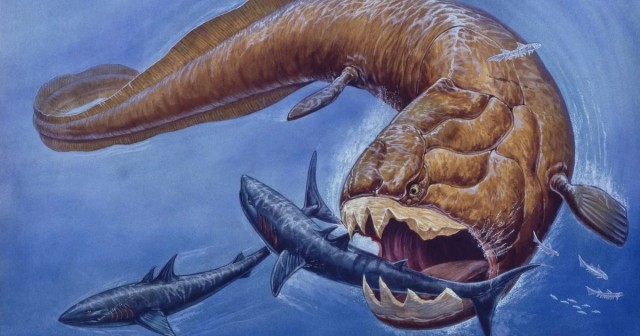 Дунклеостей: Гигантская бронированная торпеда с силой укуса тираннозавра щёлкает акул, как семечки