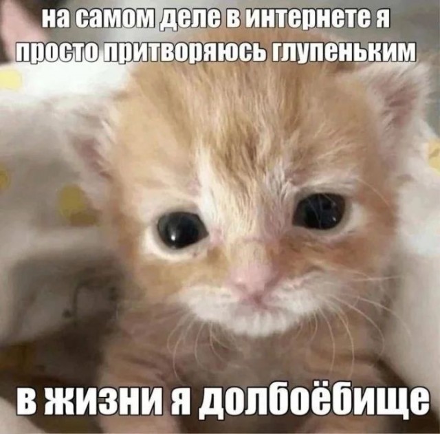 Приколы с налетом деградации