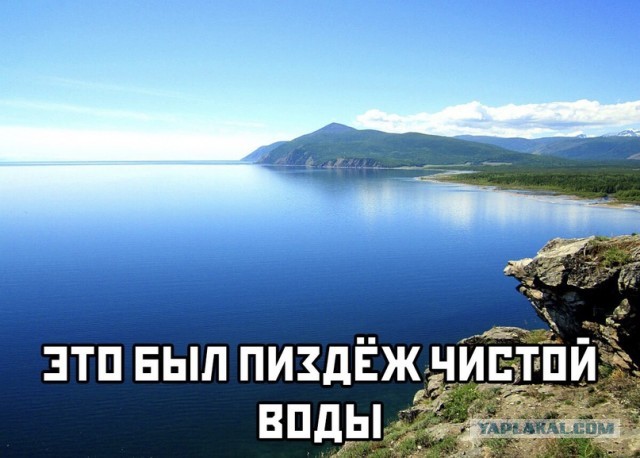 На терапевта московской поликлиники № 140, насмехавшейся над ребёнком погибшего на СВО, заведут уголовное дело — по статье о дискредитации ВС РФ