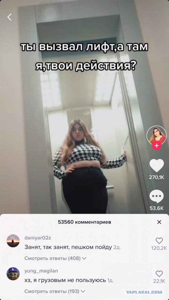 ФотоВинегрет 40 пикч