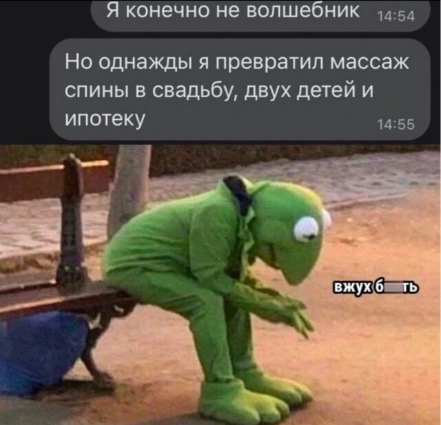 Показывайте кота!