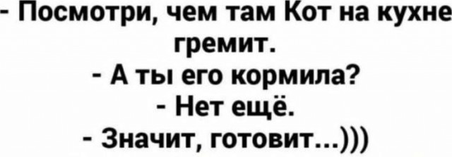 Жизнь домашнего приюта "Котоленд" 431