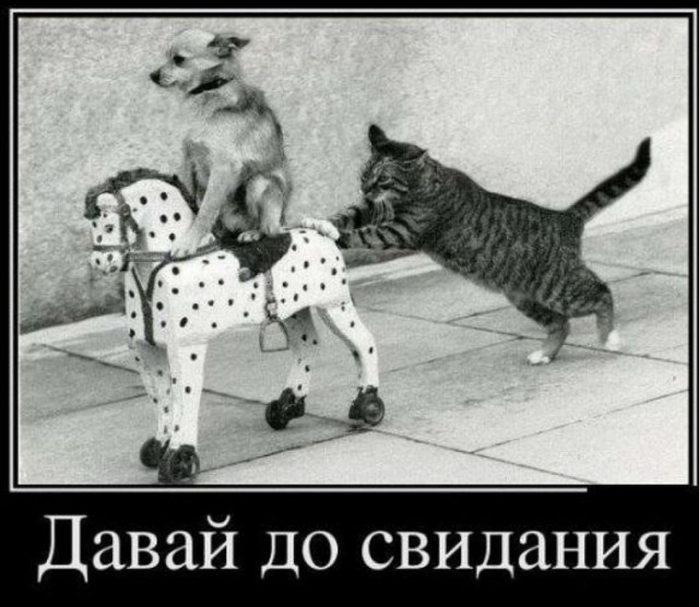Nokian Tyres всë....