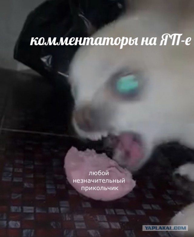 Лёля кушает колбаску