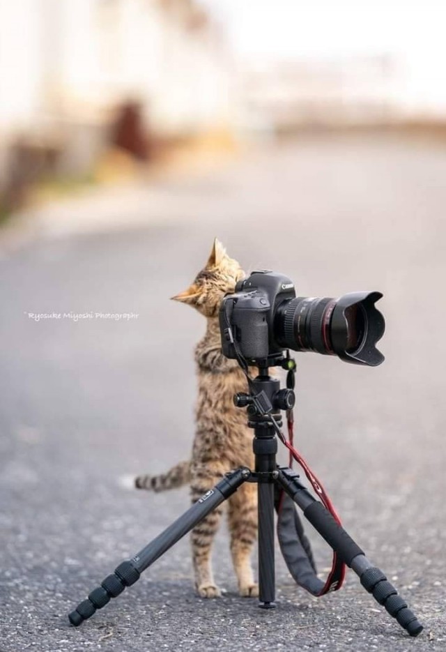 ФотоВинегрет