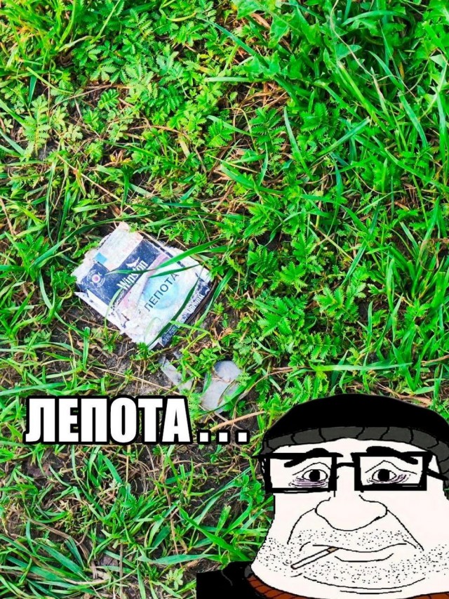 Нуштош 12.09.2024