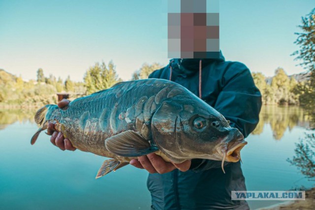 Рыбалка на реке Березина