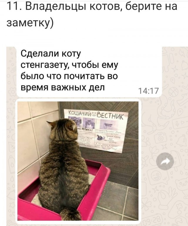 Завалялось тут случайно немного забавных картинок