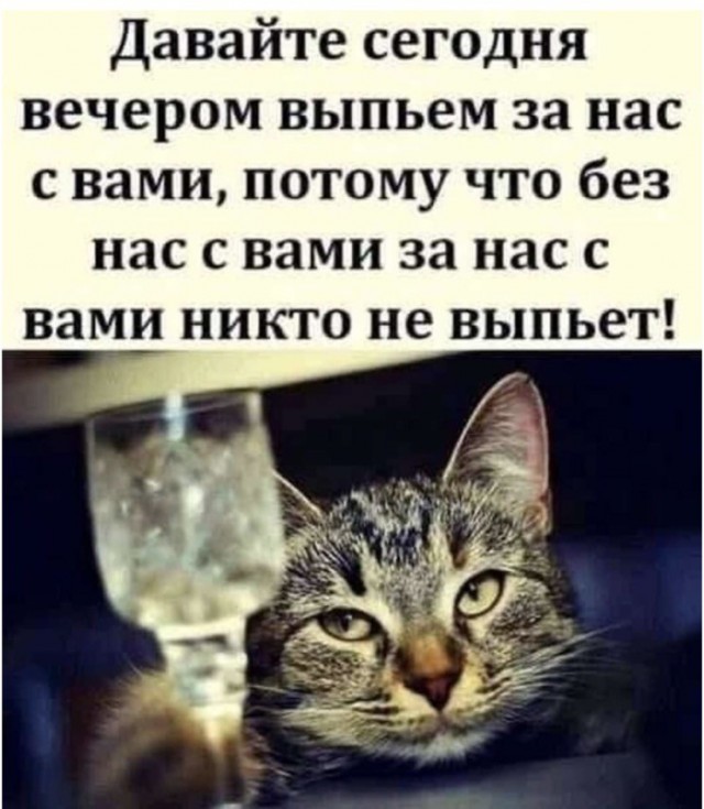 Пятничная солянка