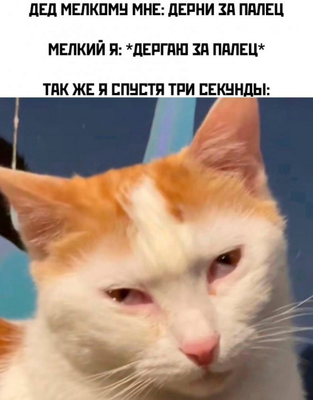 Веселые картинки в пятницу (28.03)