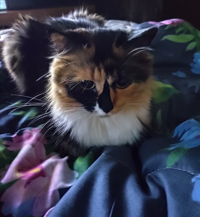 Свежая фотография.