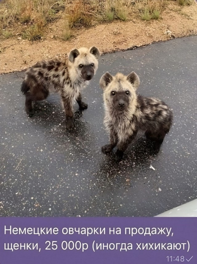 Маленькая пятница 02.07.25