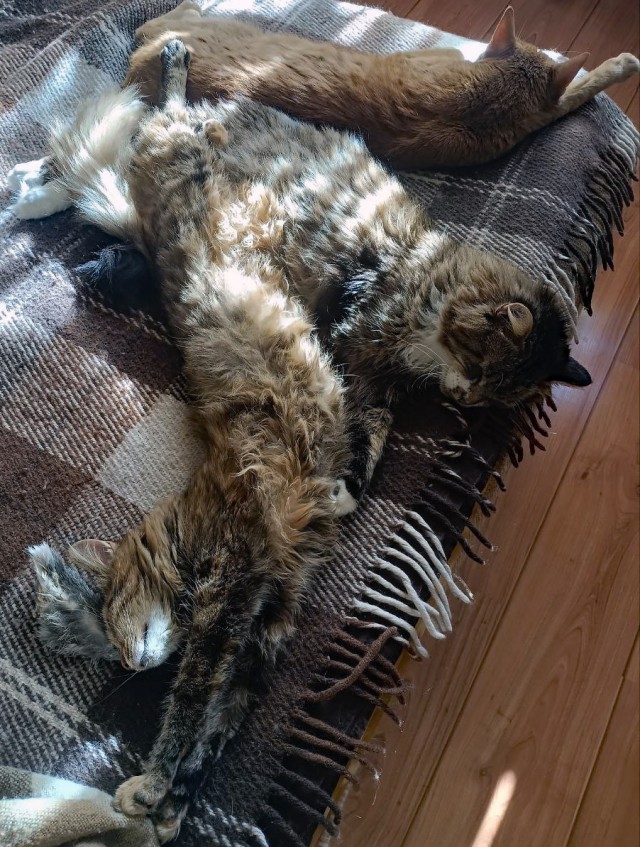 Его первый вторник