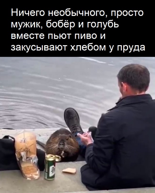 Так себе картинки 08.09.25
