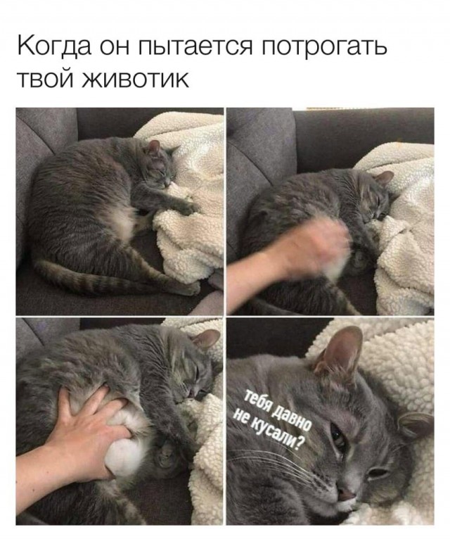 Картинки субботнего утра