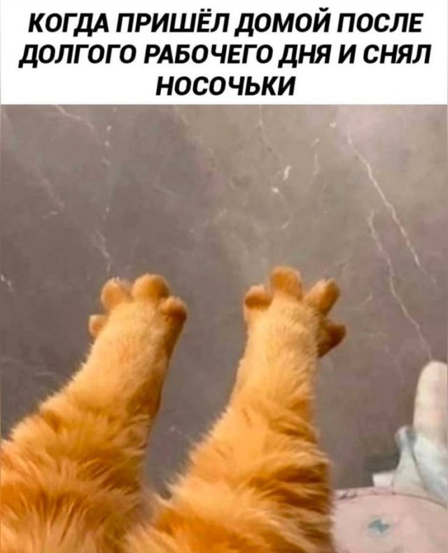 Так себе картинки 14.10.25