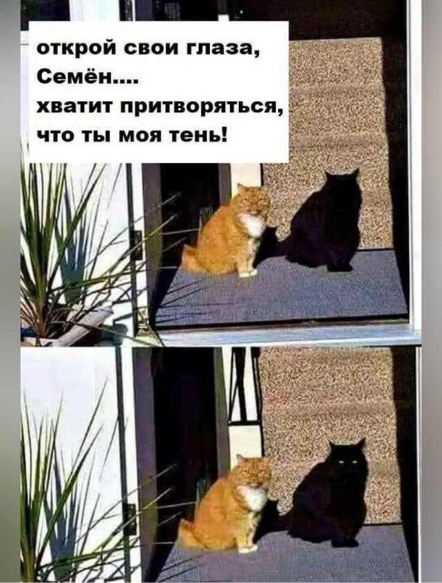 Веселые картинки в пятницу (17.10)