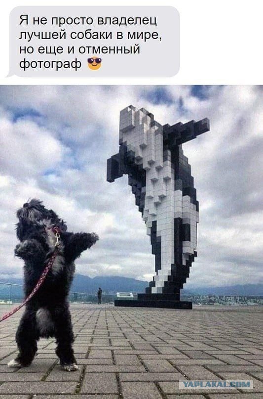 Фотограф :D⁠⁠