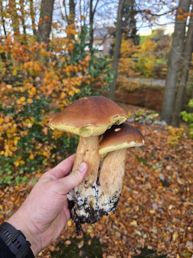 Неожиданно однако.