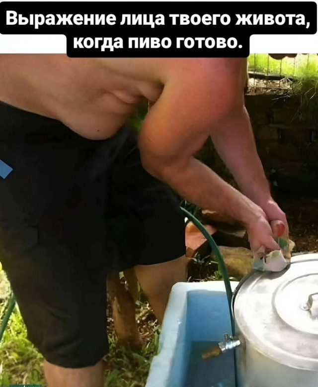 Нуштош. Проблема высасывания глаз у стрекоз (s5e1)