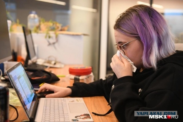 Больничный без потерь: россиянам хотят разрешить работать при болезни и сохранять доход