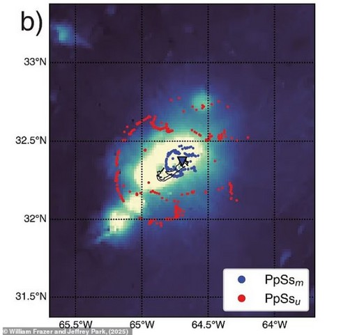 Теории заговора о Бермудском треугольнике вновь набирают популярность