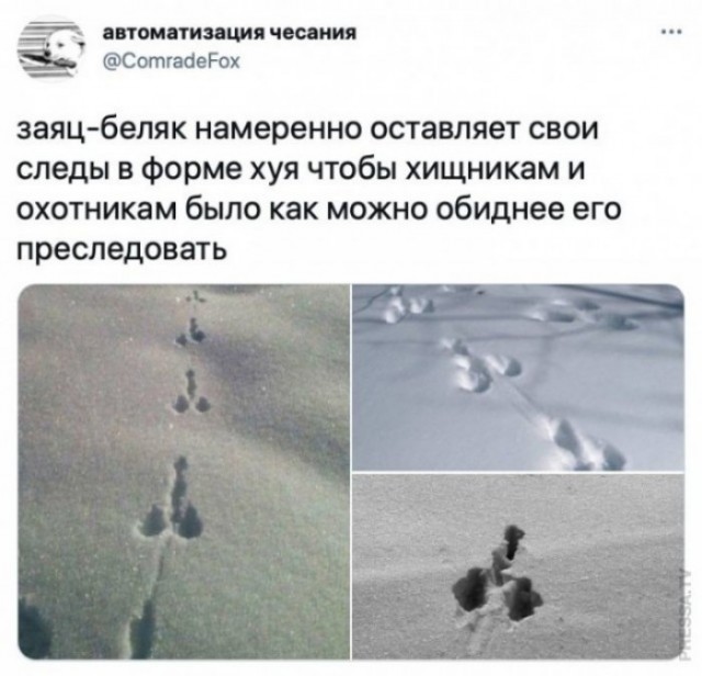 Веселые картинки в маленькую пятницу (24.12)