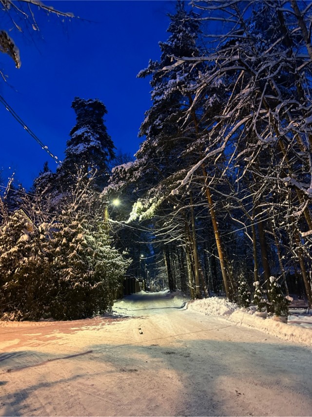 Зимняя дорога