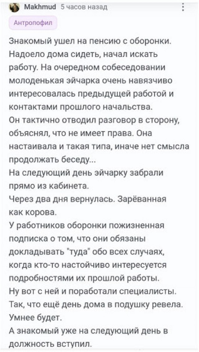 Так себе картинки 25.01.26