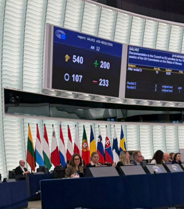 В Eвропарламенте произошло голосование по вопросу: «Только биологические женщины могут забеременеть?»