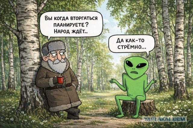 Картинки для деградации 168 (разной степени свежести)