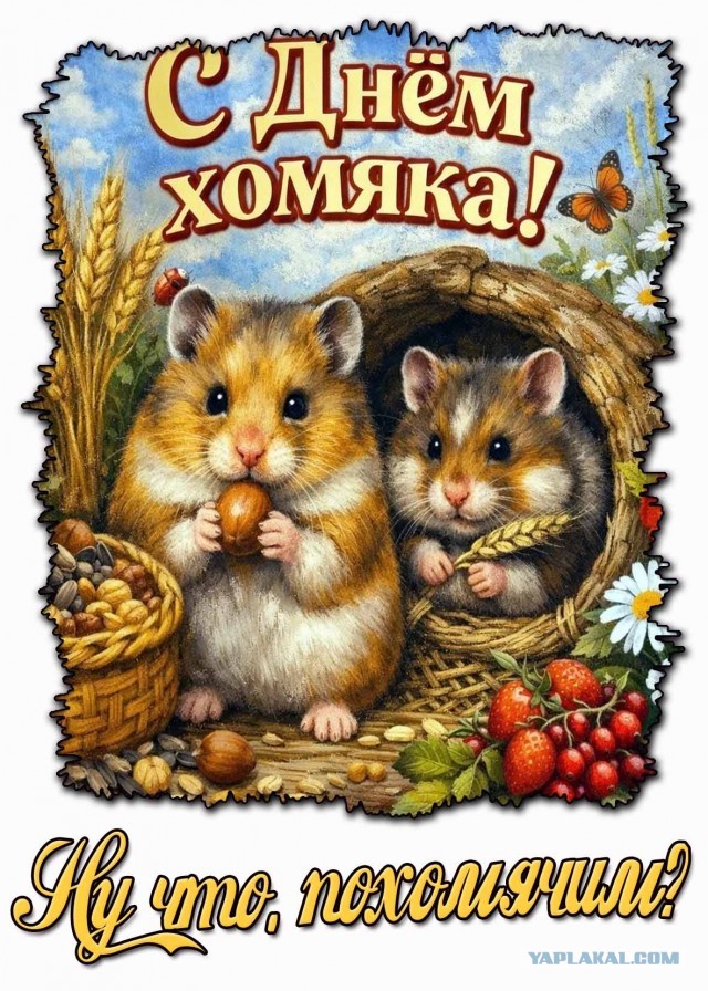 Совмещая несовместимое