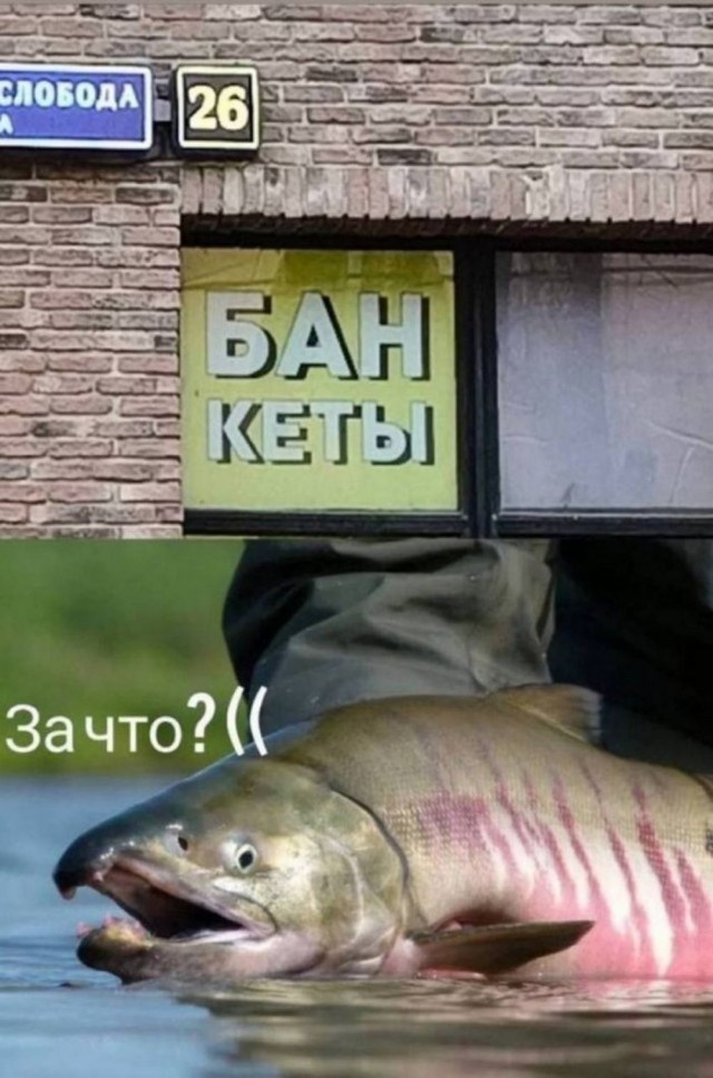Субботние картинки
