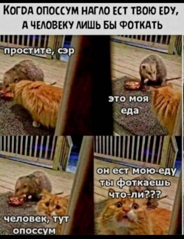 Картиночки, баянчики 20 апреля