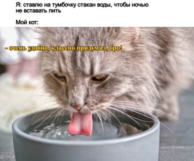 Так себе картинки 30.06.26