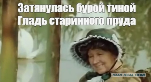 Декрета не будет! Идите работать!