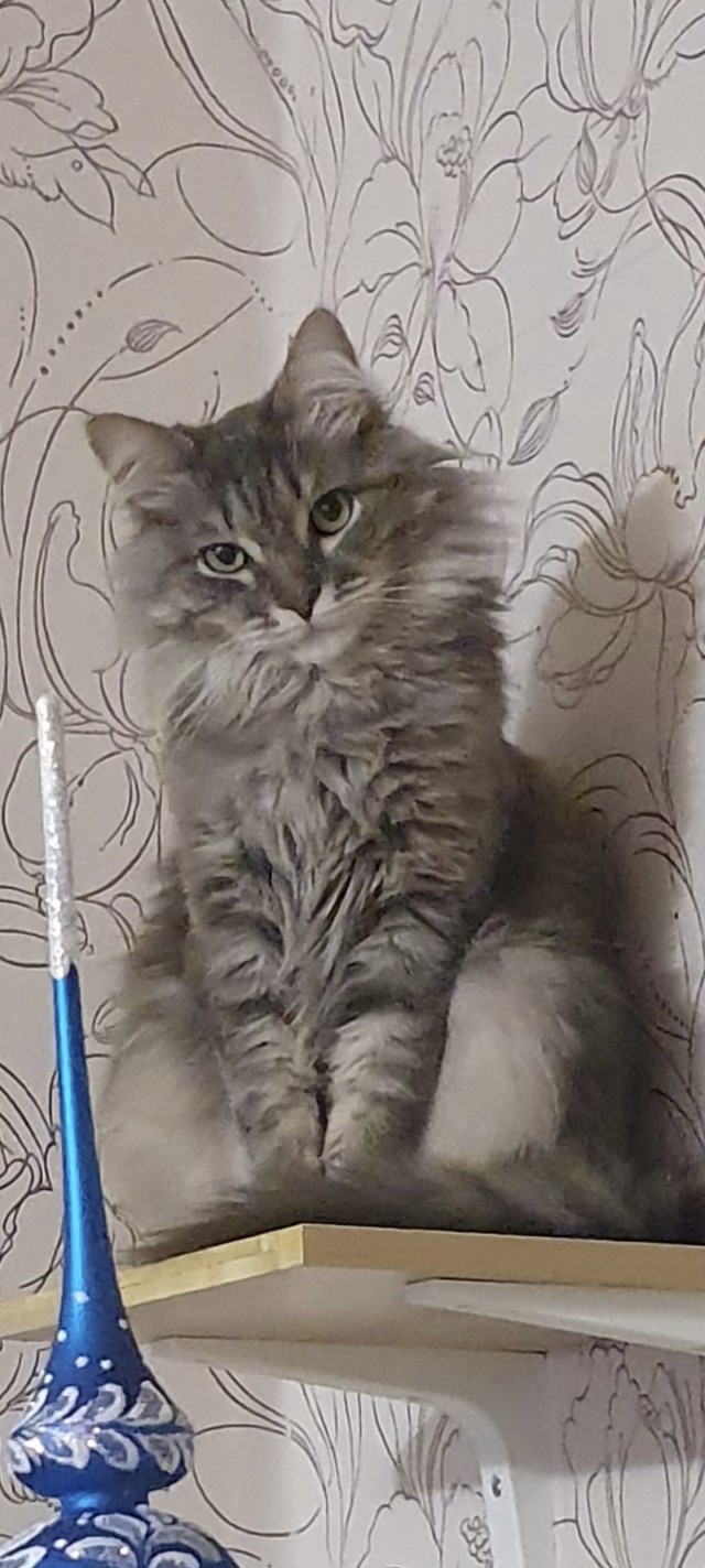 Просто красавчик.
