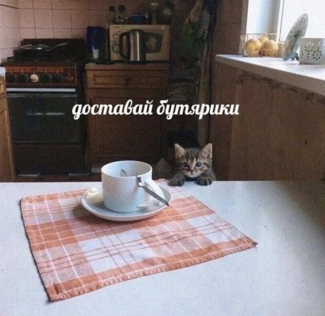 Так себе картинки 25.09.26