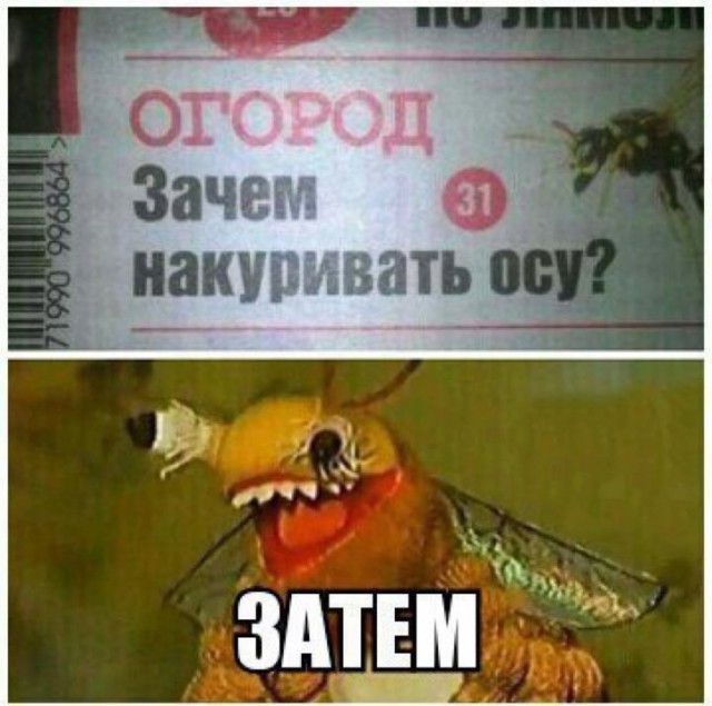 Деревня дураков