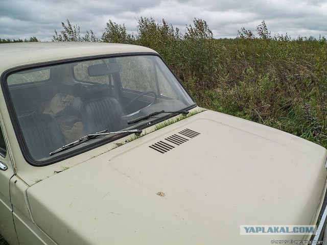 Экстримальная поездка за грибами.