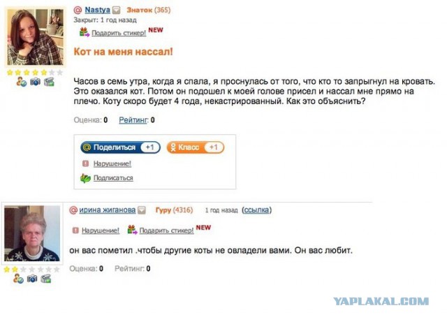 Сижу такой..
