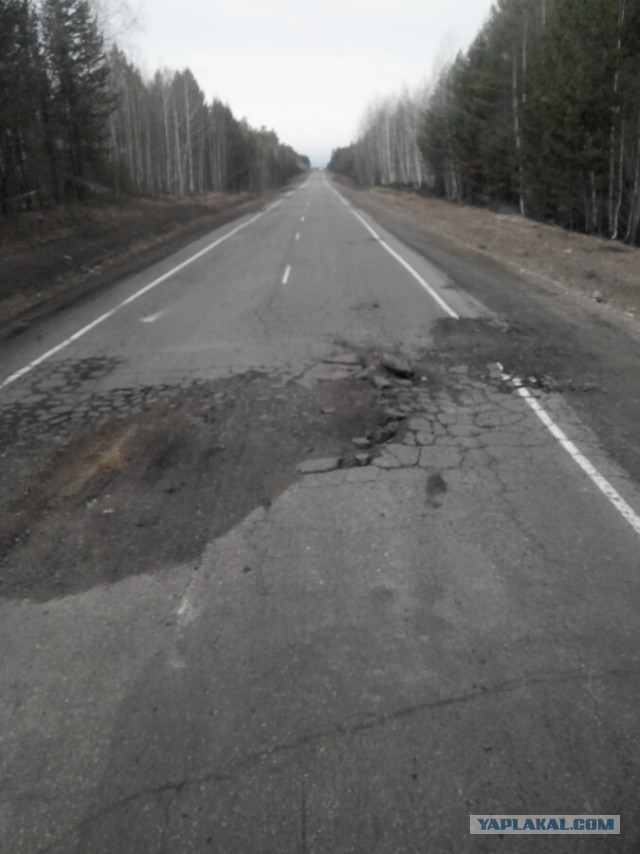Странствия желтой скамейки)