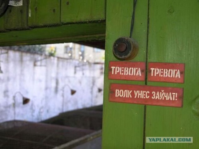 Фотки из интернета.