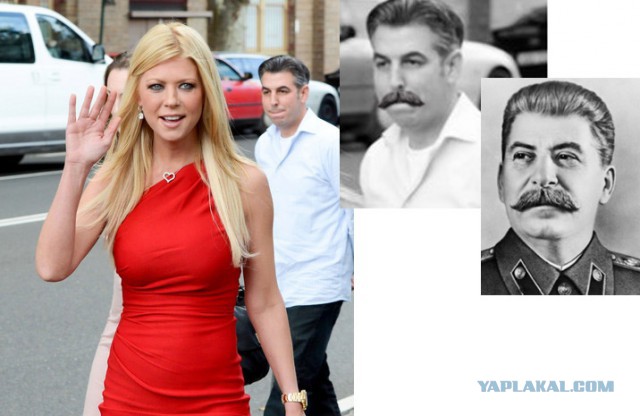 Стройняшка в купальнике: актриса Тара Рид