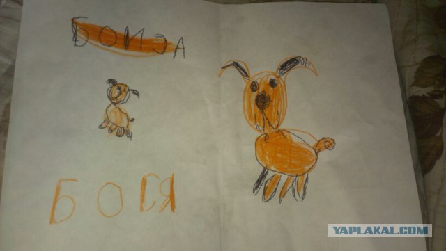 Все собаки попадают в рай!